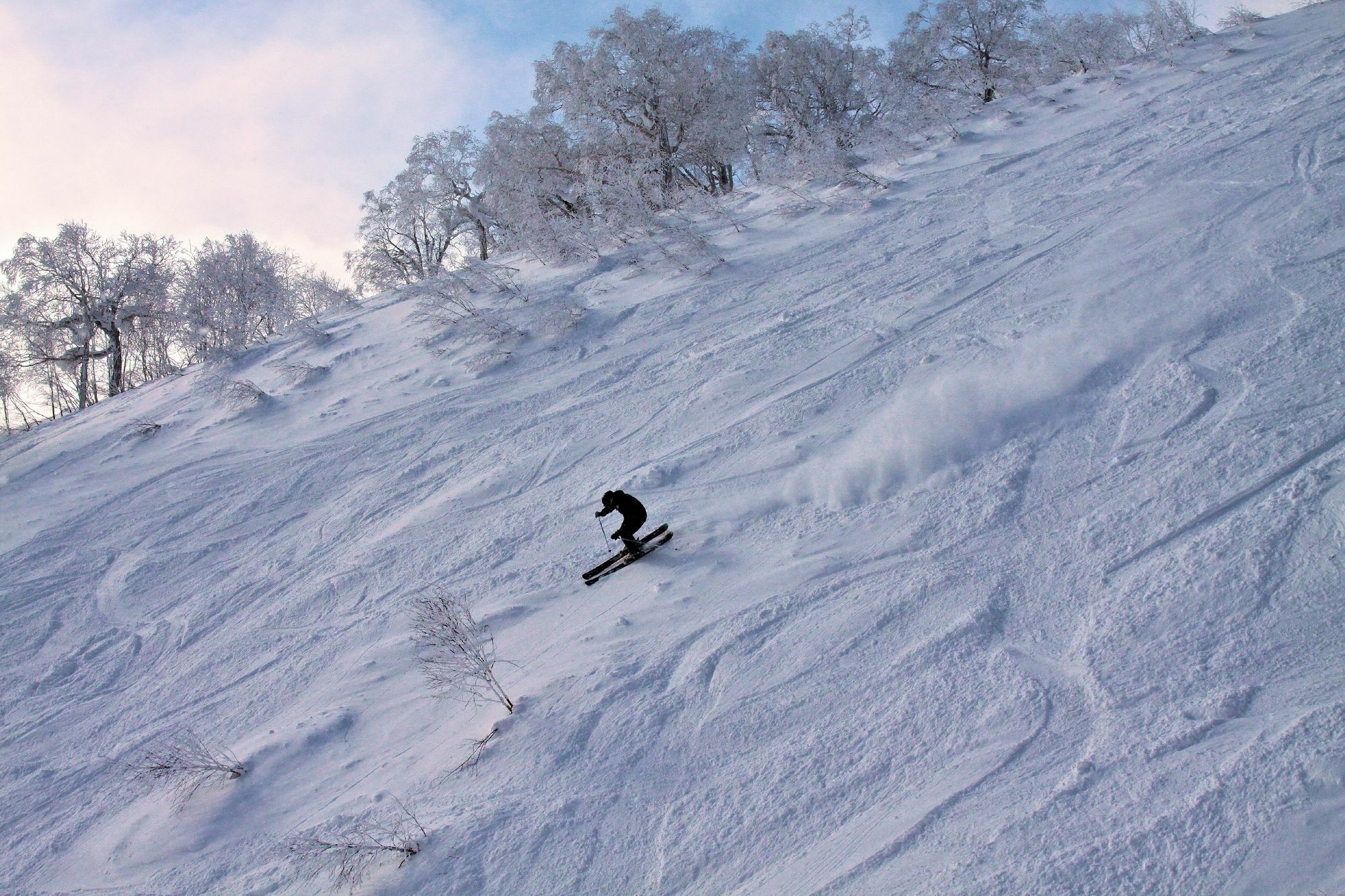 Ivy Hirafu, 酒店 Niseko